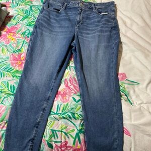American Eagle Outfitters Women's Blue Skinny Jeans
